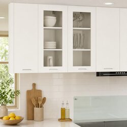 Hanging Kitchen Cabinet with Door White Storage Organizer Modern Furniture