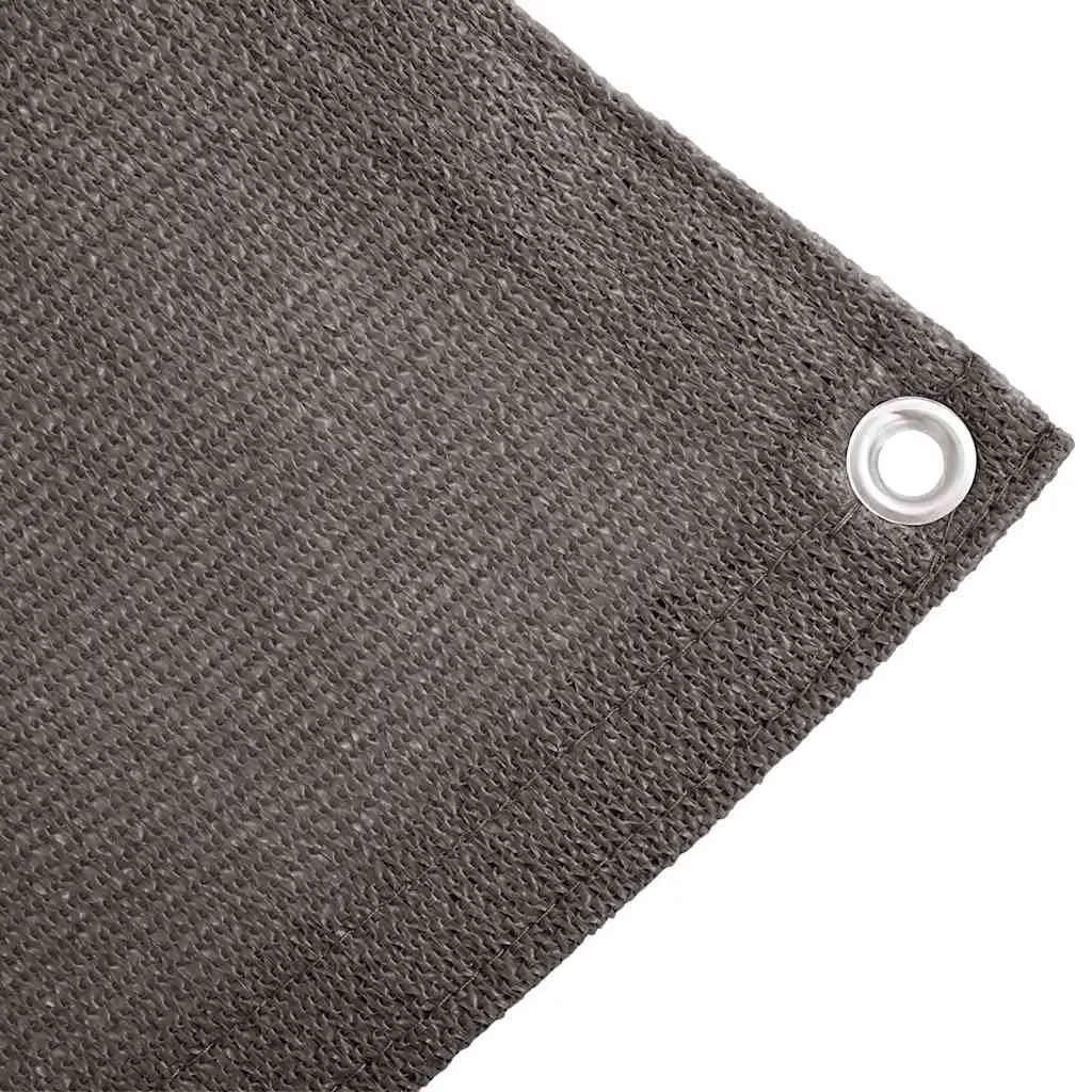 Tent Carpet Water Permeable 250x600 cm Anthracite Outdoor Ground Sheet Mat
