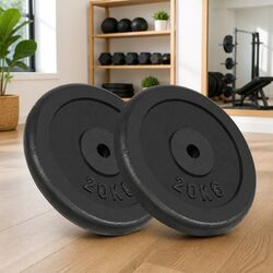 Weight Plates 2 pcs 2x20 kg Cast Iron Barbell Dumbbell Home Gym Fitness Training