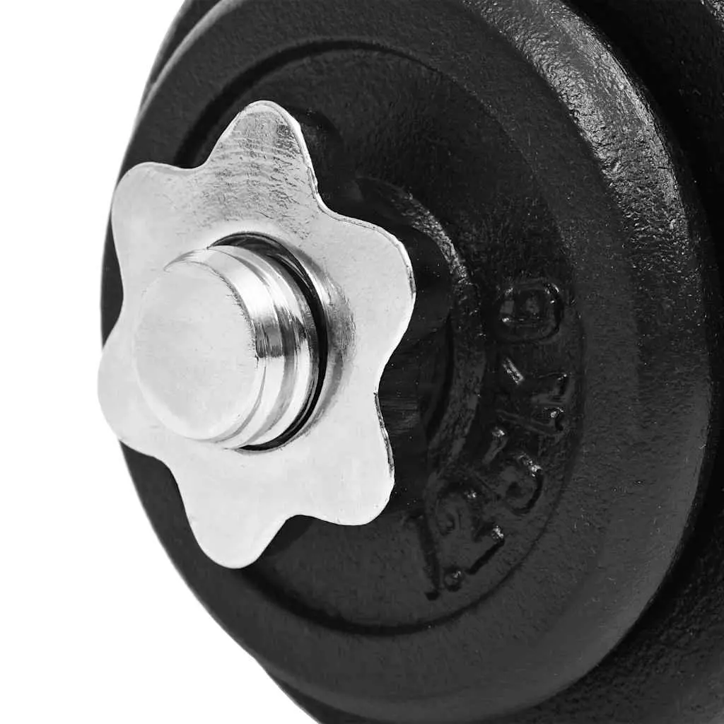 Dumbbell Set Adjustable 30kg Cast Iron Weight Plates Black Home Gym Training