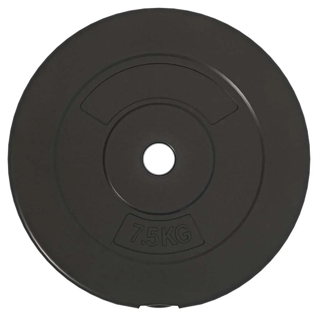 Weight Plates Set 30 kg 6 Piece Home Gym Dumbbell Barbell Training Cement Discs Black