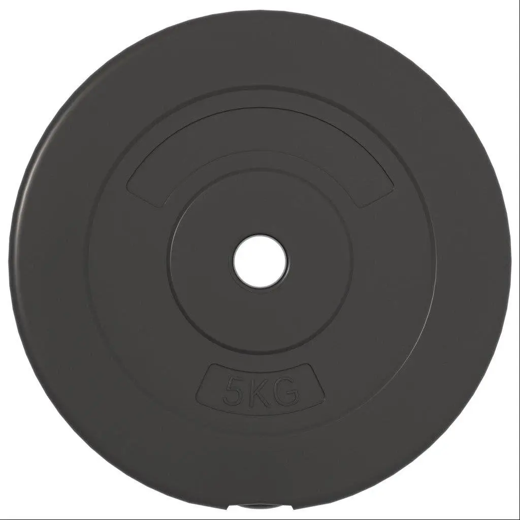 Weight Plates Set 30 kg 6 Piece Home Gym Dumbbell Barbell Training Cement Discs Black