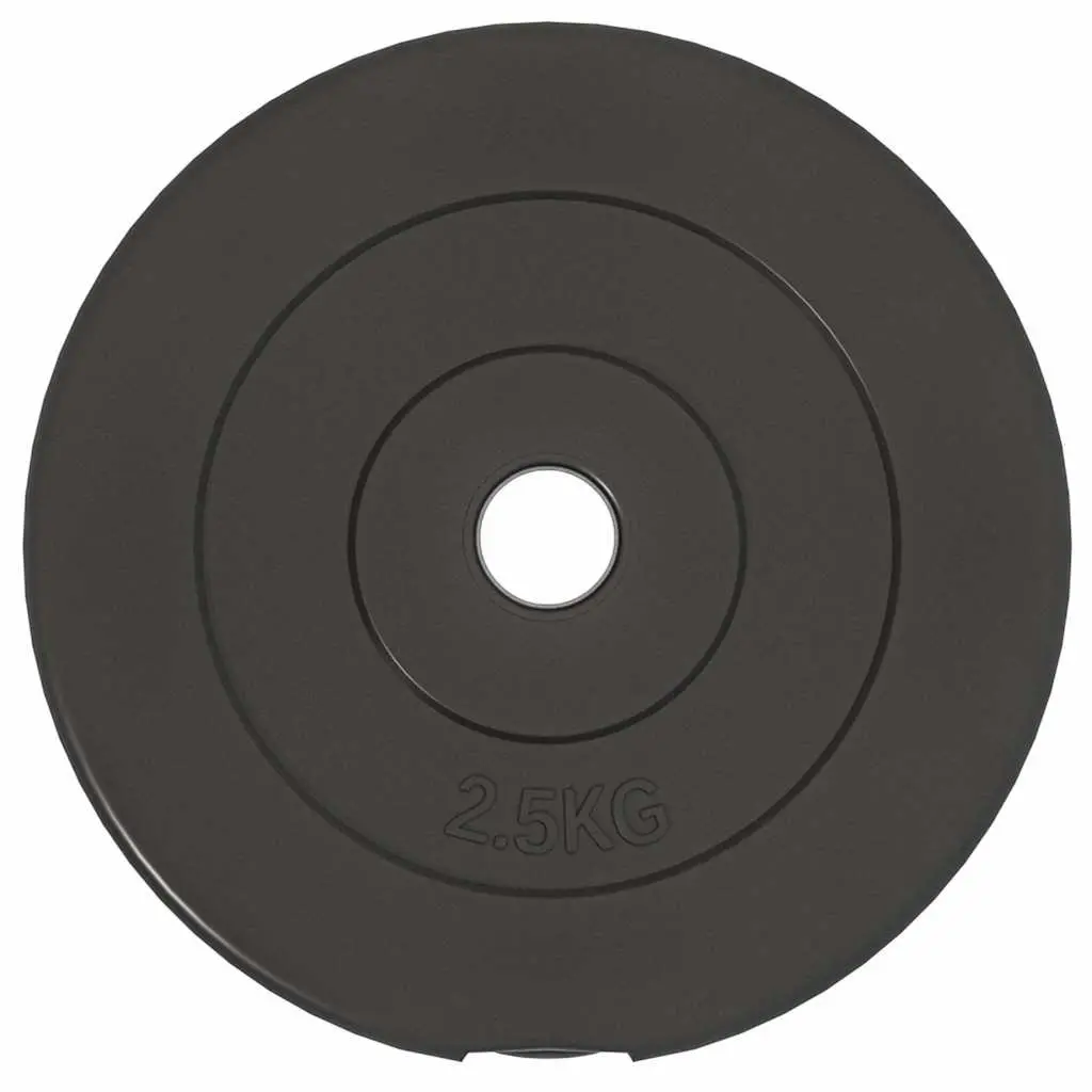 Weight Plates Set 30 kg 6 Piece Home Gym Dumbbell Barbell Training Cement Discs Black