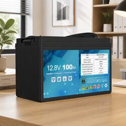 12V LiFePO4 Deep Cycle Battery Lithium Iron Power Bank Car Fridge Portable