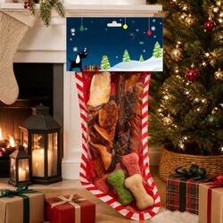 Christmas Stocking Dog Treats 15pc Assorted Pack Holiday Pet Gift Chew