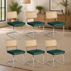 Rattan Dining Chairs Set of 6 Cantilever Steel Frame Woven PE Backrest