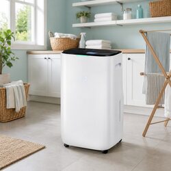 Dehumidifier 20L/Day Air Purifier Fan Clothes Dryer White Large Room Home