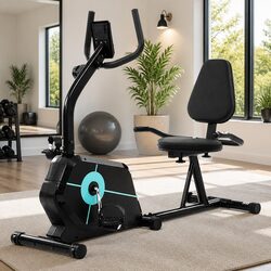 Recumbent Exercise Bike Magnetic Indoor Cycling Home Gym Cardio Fitness Machine