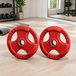 Weight Plates Olympic 15kg x2 Red Cast Iron Dumbbell Barbell Lifting Home Gym