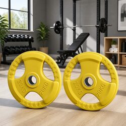 Olympic Weight Plates 20kg Pair Cast Iron Dumbbell Barbell Home Gym Lifting