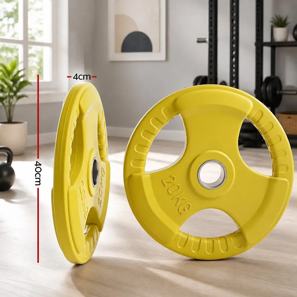 Cast Iron Weight Plates 20kg Pair Heavy-duty Rubber Coated for Dumbbell Barbell Home Gym