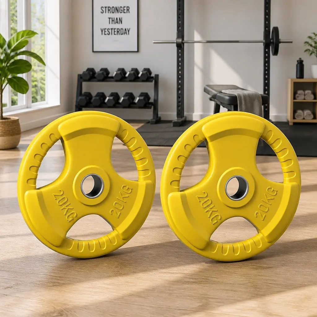 Cast Iron Weight Plates 20kg Pair Heavy-duty Rubber Coated for Dumbbell Barbell Home Gym