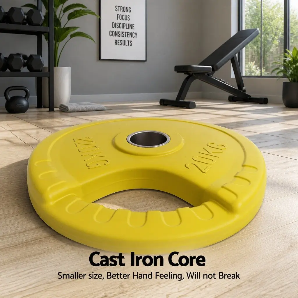 Cast Iron Weight Plates 20kg Pair Heavy-duty Rubber Coated for Dumbbell Barbell Home Gym
