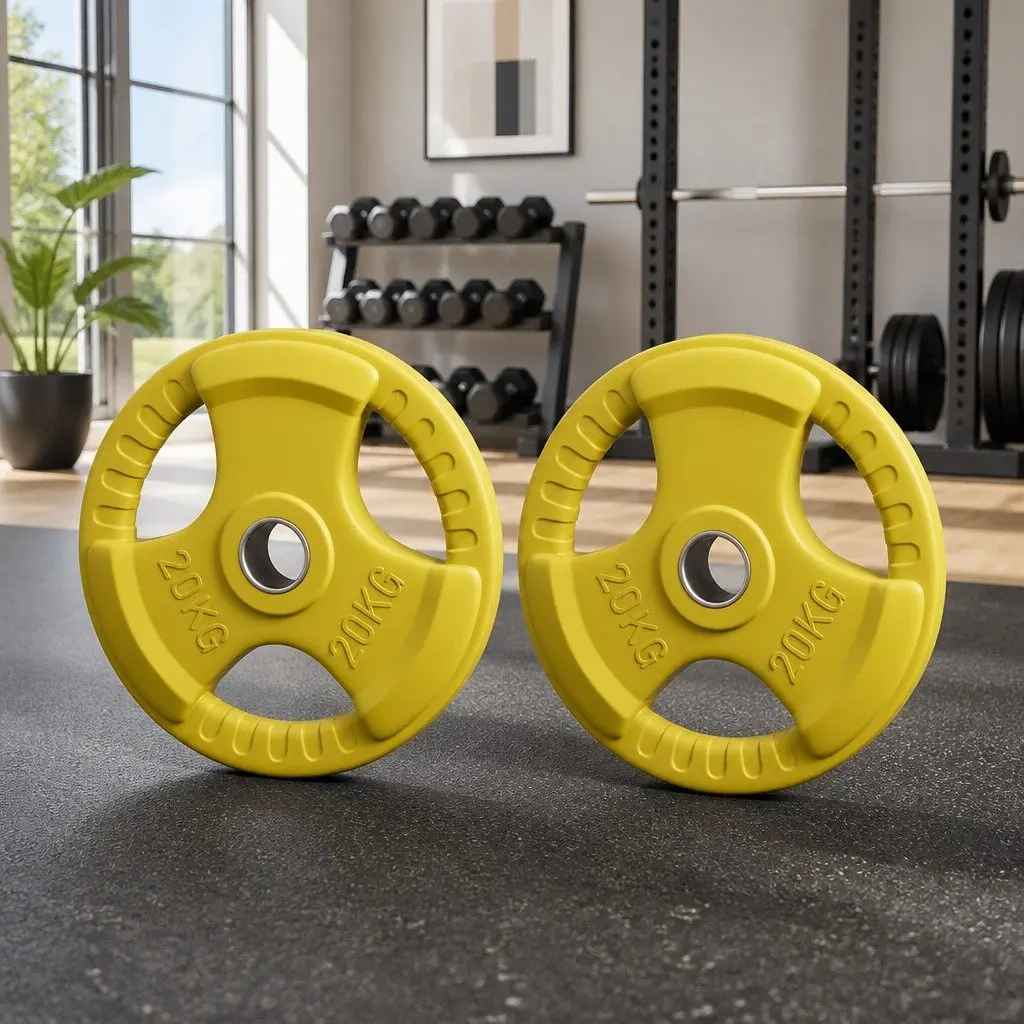 Cast Iron Weight Plates 20kg Pair Heavy-duty Rubber Coated for Dumbbell Barbell Home Gym