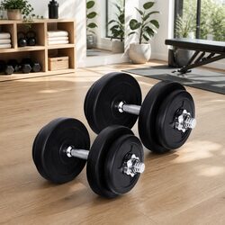 20kg Dumbbell Set Weight Plates Adjustable Dumbbells Home Gym Lifting Exercise