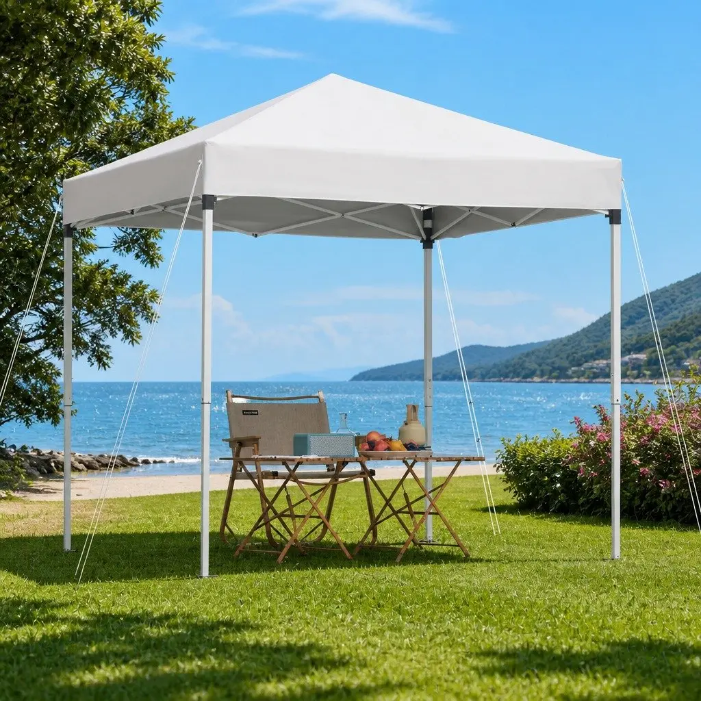 Gazebo Portable Outdoor Shelter 2x2m White Powder-coated Steel Frame