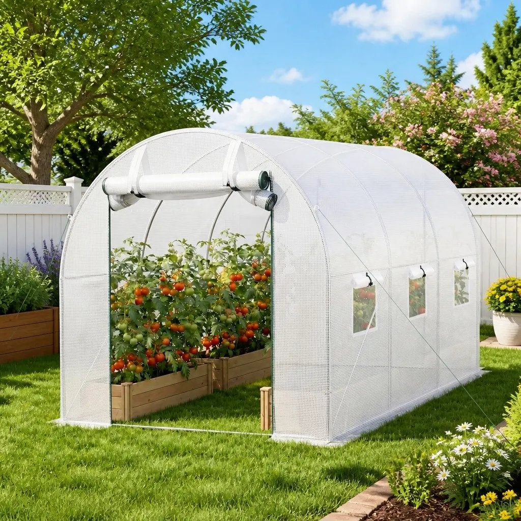 Walk In Greenhouse 3x2x2M Outdoor Garden PE Cover Steel Frame Roll-up Door