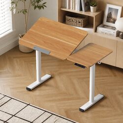 Electric Standing Desk Height Adjustable Sit Stand Tilting Top Home Office Desk
