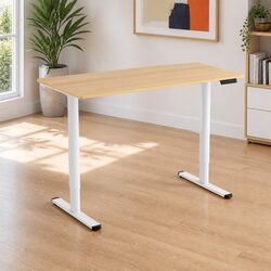 Electric Standing Desk 120cm Motorised Height Adjustable Sit Stand Home Office