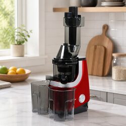 Cold Press Slow Juicer Whole Fruit Masticating Juice Extractor Machine 200W