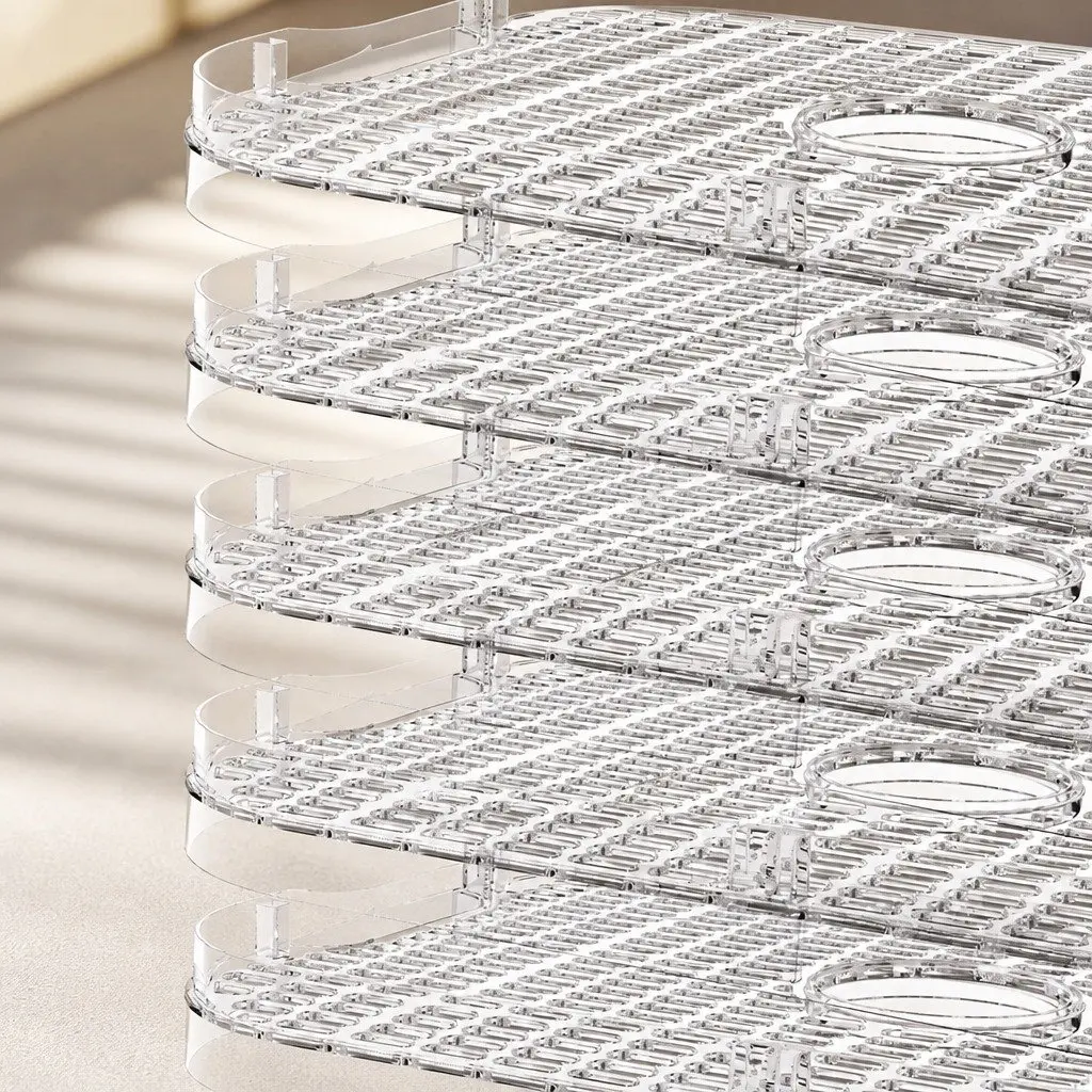Food Dehydrator Stainless Steel 5 Tray Digital LED Controls Black