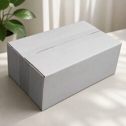 RSC Carton 270x160x100mm White Cardboard Box 100 Pack Ecommerce