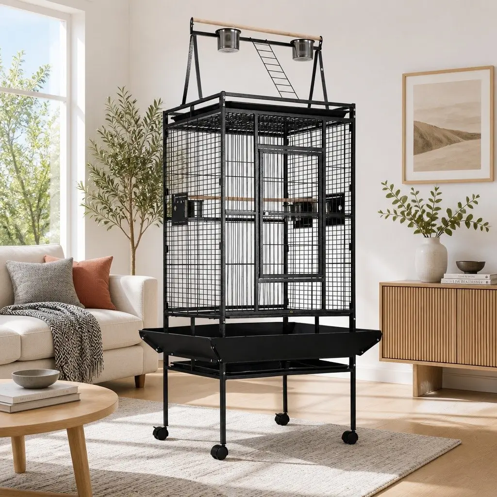 Large Bird Cage Aviary 173cm Tall Durable Wrought Iron Black with Perches and Food Bowls
