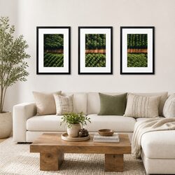 3 Piece Photo Frame Wall Set A3 Picture Display Black Polymer Rectangle Home