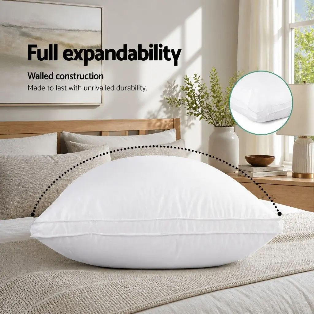 Goose Feather Down Pillow Standard Size Cotton Casing White Twin Pack Head Neck Support