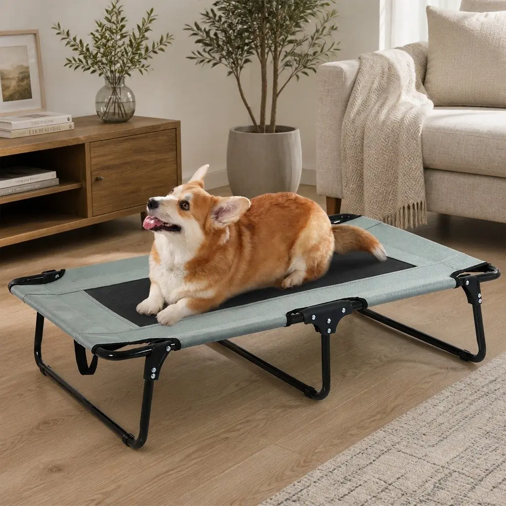 Elevated Pet Bed Dog Raised Trampoline Foldable Medium Size Cooling Portable