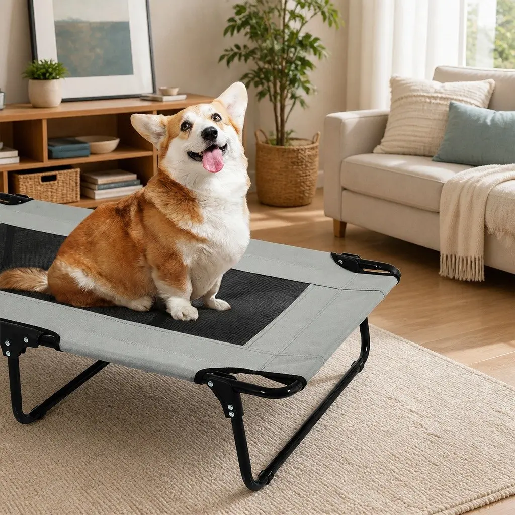 Elevated Pet Bed Dog Raised Trampoline Foldable Medium Size Cooling Portable