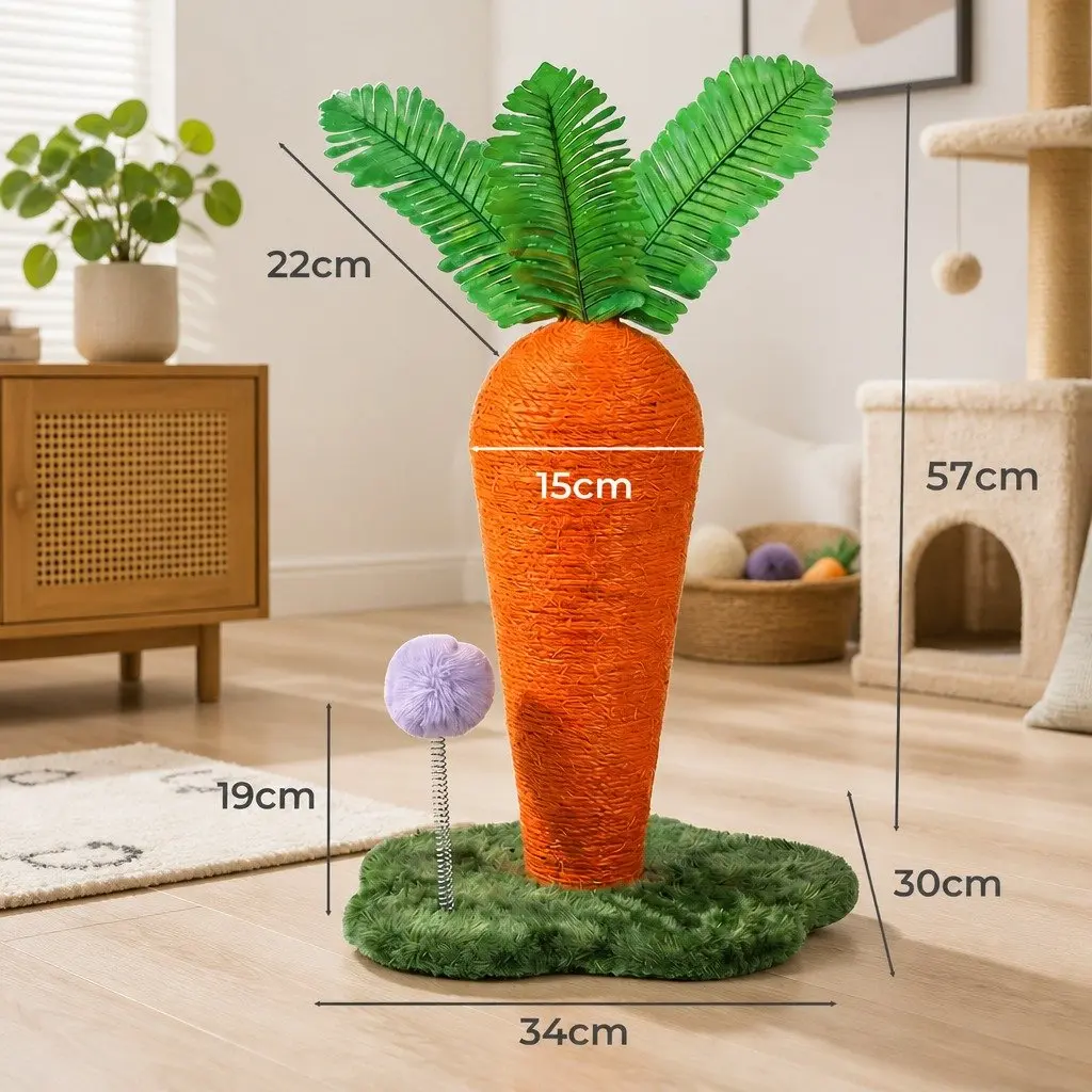 Cat Scratching Post Carrot Design Interactive Toy Sisal Rope Climbing Play Pole