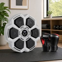 Smart Music Punching Box with 12OZ Boxing Gloves Home Fitness Wall Mount Machine