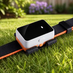 Pet GPS Tracker Real Time Location Monitoring Dog Cat Activity Waterproof Collar