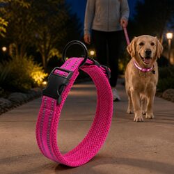 Heavy Duty Reflective Dog Collar with Safety Lock Clip Buckle and Stainless