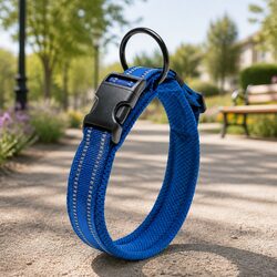 Heavy Duty Reflective Dog Collar with Safety Lock Clip Blue 2XL Pet Leash