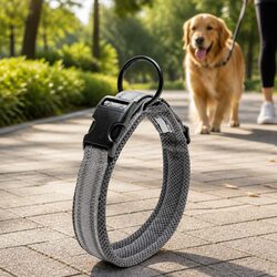 Heavy Duty Dog Collar with Reflective Safety Features and Stainless Steel O Ring
