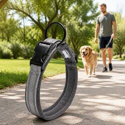 Heavy Duty Dog Collar with Reflective Safety Features Stainless Steel O Ring XL