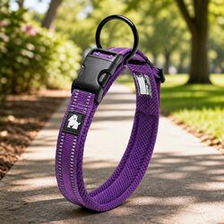 Heavy Duty Reflective Dog Collar with Safety Lock Clip and Stainless Steel O