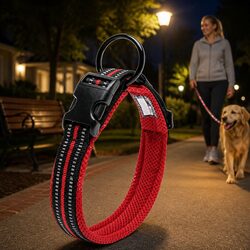 Heavy Duty Reflective Dog Collar with Safety Lock Clip Buckle Stainless Steel O