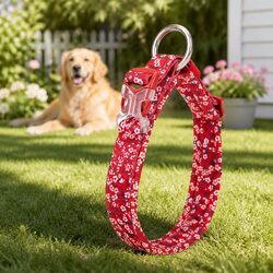 Floral Dog Collar Padded Medium Comfortable Pet Accessory with Snap Buckle