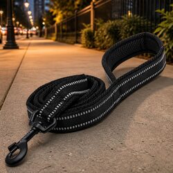 Reflective Dog Leash 2m Nylon Lead with Swivel Hook for Walking Training