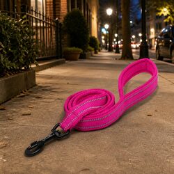 Reflective Dog Leash 2m Pet Lead Nylon with Swivel Hook Pink XS