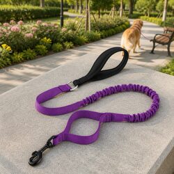 Dog Leash Lead Nylon Webbing Padded Handle Traffic Control Purple