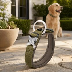 Dog Collar XS Active Puppy Reflective Lead Attachment O Ring Durable Pet