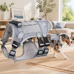 Dog Harness Breathable Mesh Vest Leash Pet Chest Rope Walking Training Gear