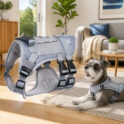 Small Dog Cat Vest Harness Leads Walking Leash Mesh Clothes Collar Pet Accessory