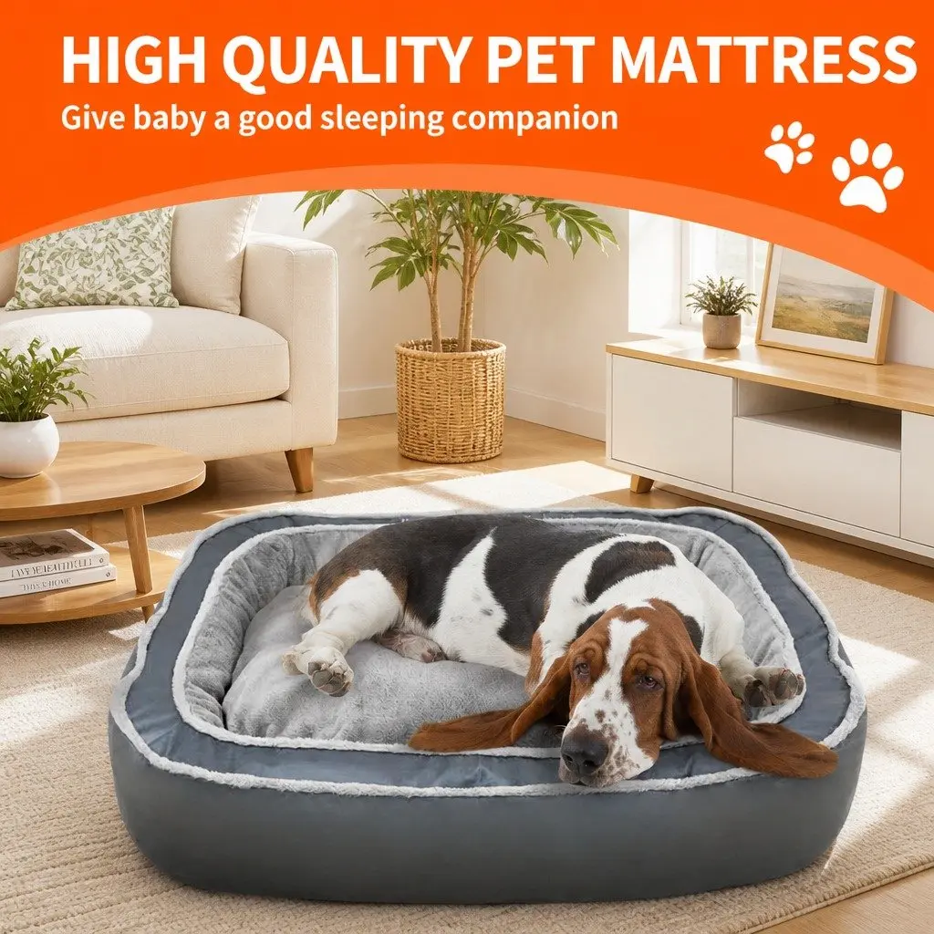 Oval Pet Bed Removable Washable Cushion 60x50x17cm Blue